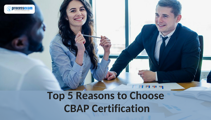 5 Reasons to Choose CBAP Certification as a Career | Process Exam Sns-Brigh10